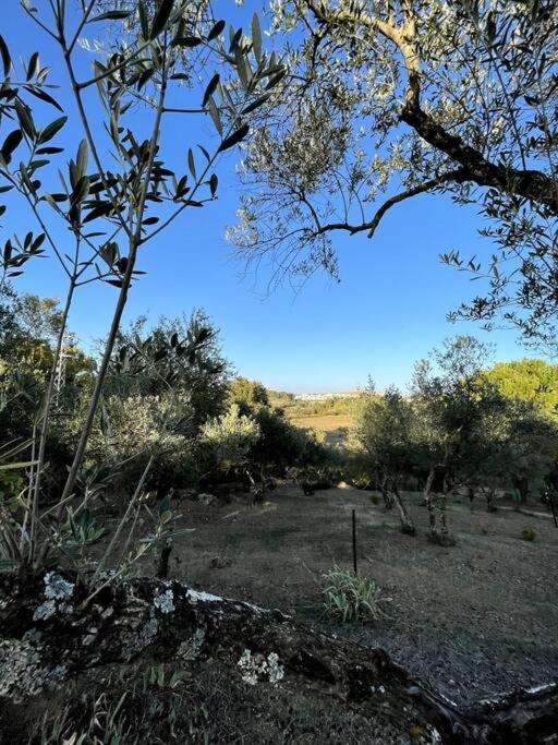 Villa Maria, Casa Rural En Cazalla De La Sierra. Exteriér fotografie